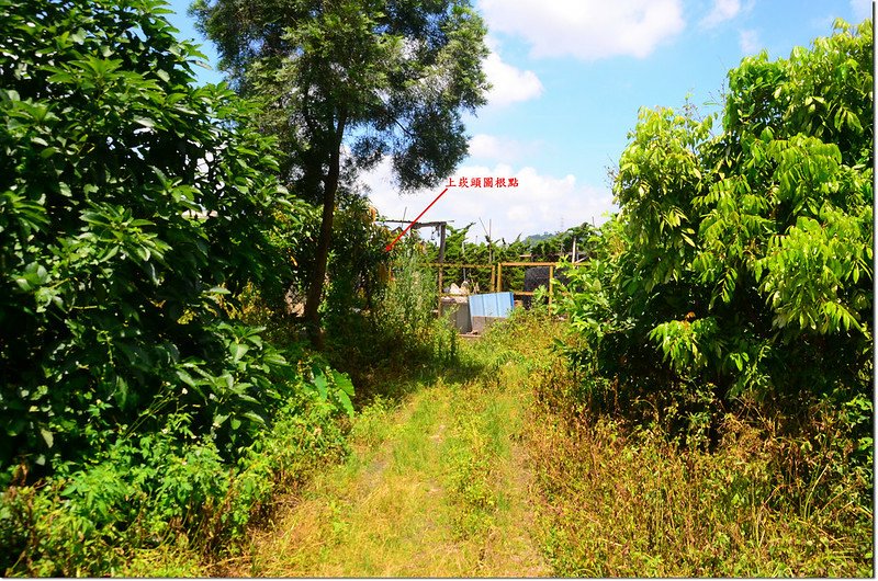 上崁頭圖根點點位果園