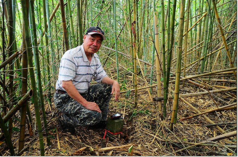 湖桶山山頂