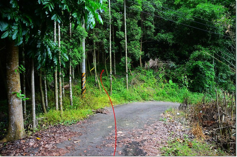 尖子尾山登山口