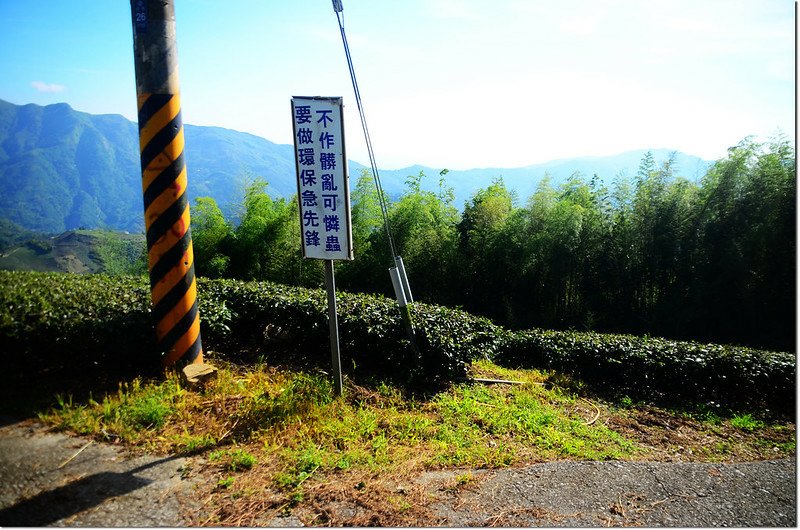 生毛樹山停車處