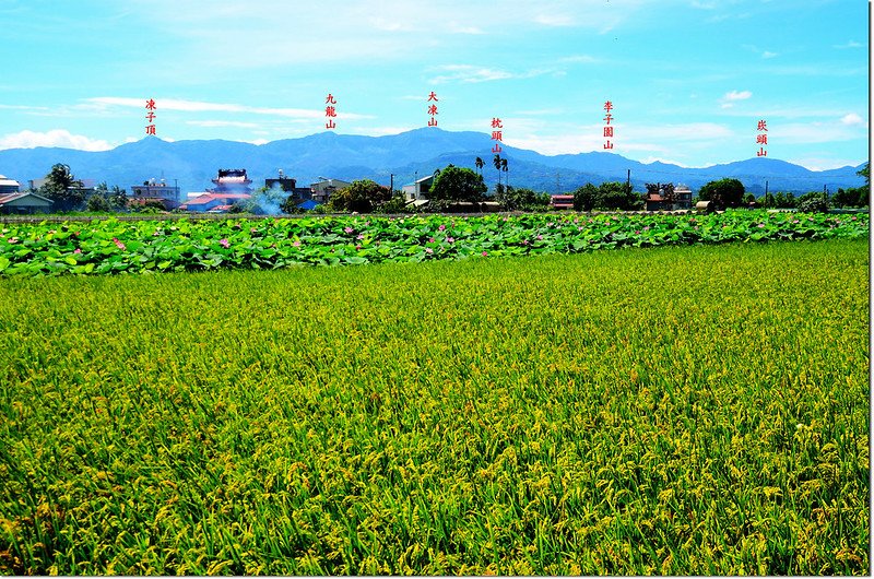 白河林初埤東眺