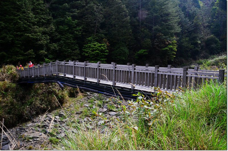 跨越馬達拉溪木橋