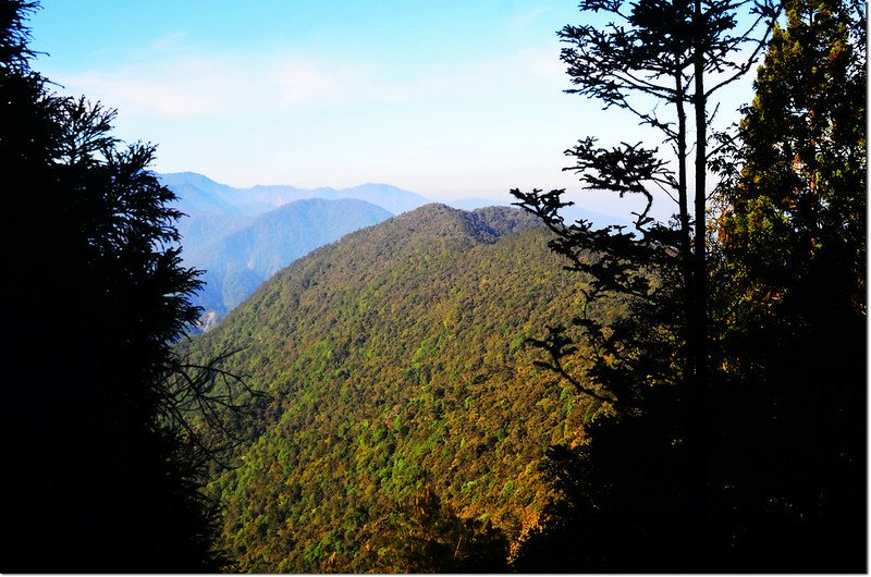 大鹿林道西線遠眺佳仁山