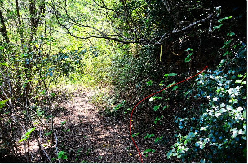 枋野具山攻頂點