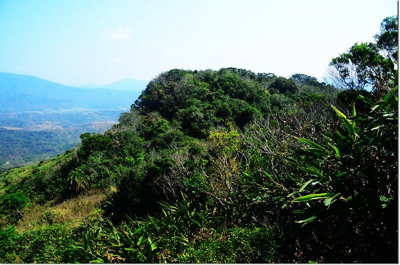 門馬羅山主峰305峰東北鞍東北眺