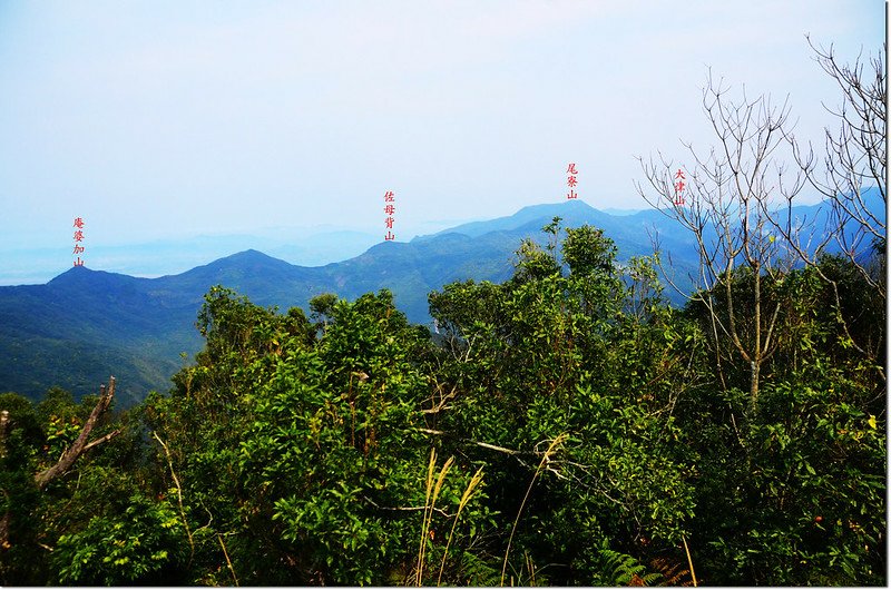 德文山山頂北眺沙溪林道群山