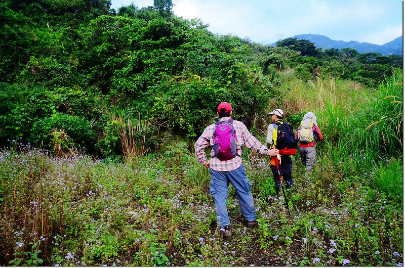 新港南溪山廢產道登山口 1