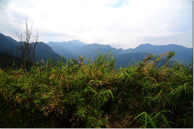 麻荖漏山東峰礦區道路展望 1