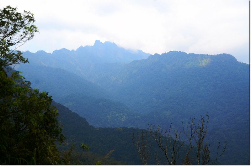 麻荖漏山東峰礦區道路展望 2