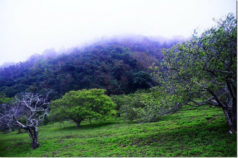 泥水溪山登山口望泥水溪山