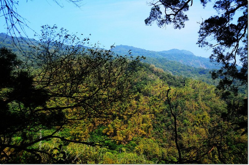 頂公館山西眺烏山稜線