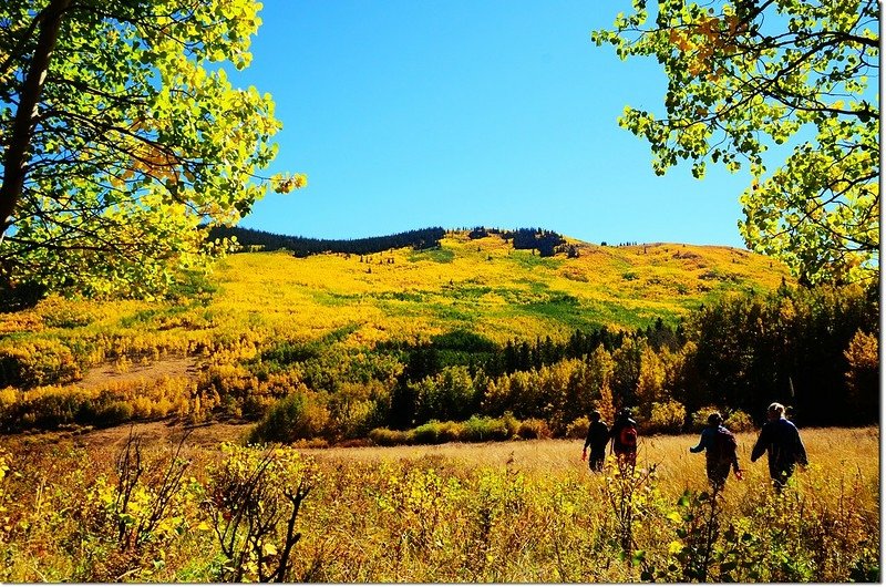 Fall colors at Kenosha Pass, Colorado (3)