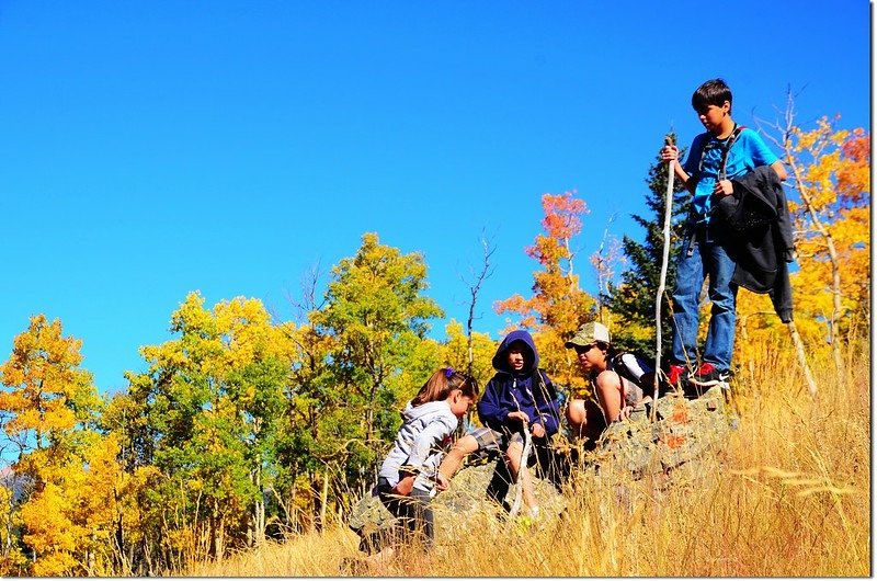 Fall colors at Kenosha Pass, Colorado (7)