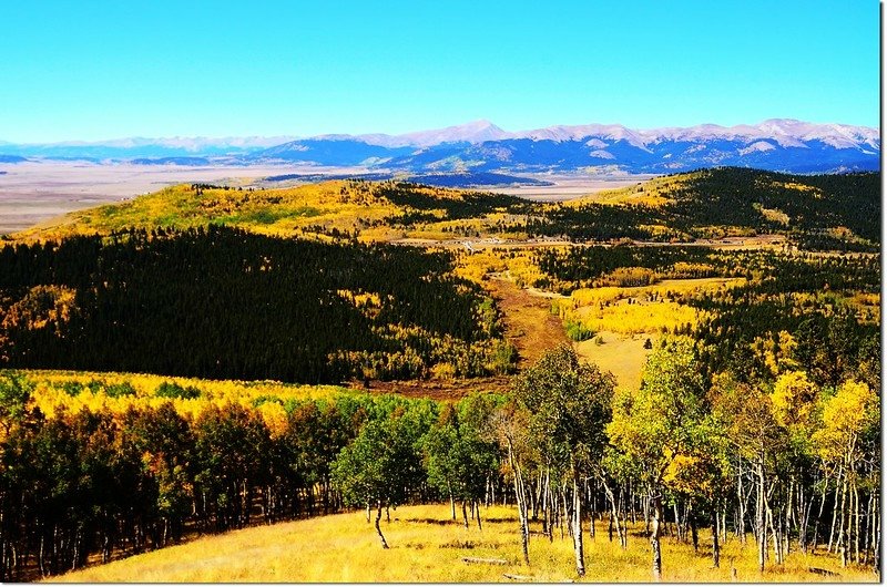 Fall colors at Kenosha Pass, Colorado (13)