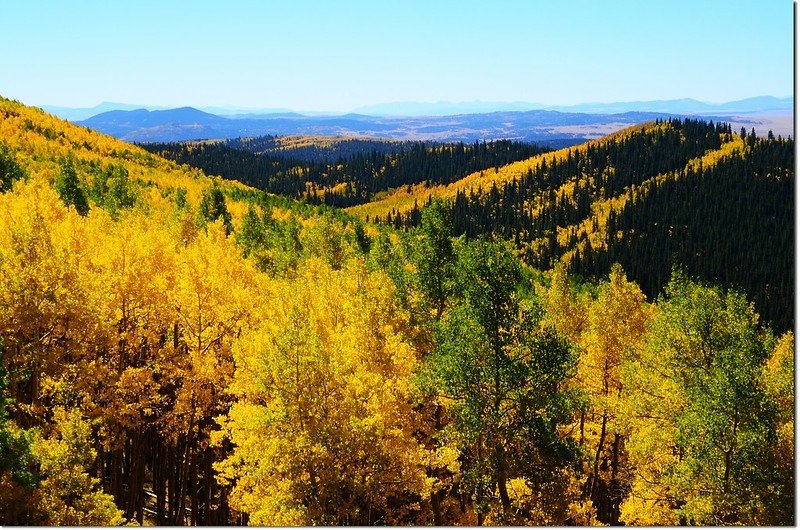 Fall colors at Kenosha Pass, Colorado (16)