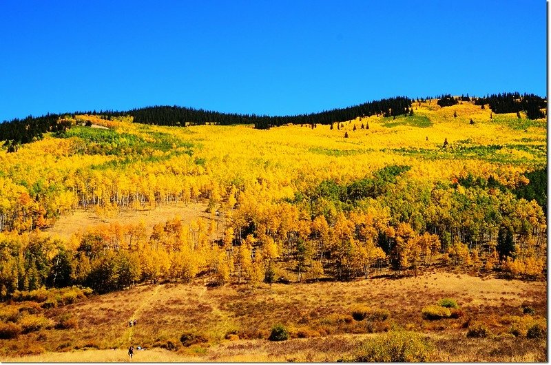 Fall colors at Kenosha Pass, Colorado (32)