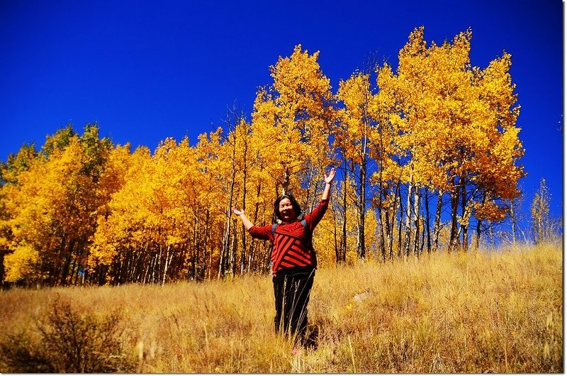 Fall colors at Kenosha Pass, Colorado (34)