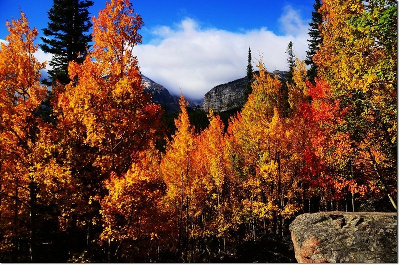 2015 Rockies in Fall, Bear Lake Area (6)