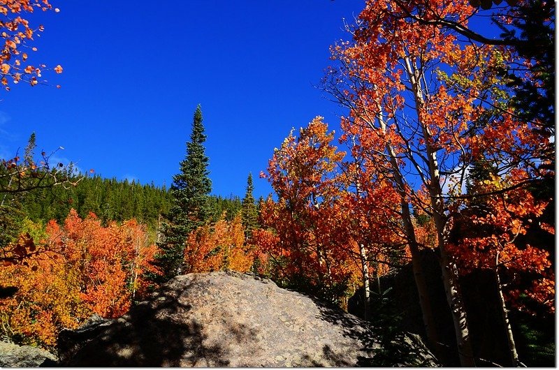 2015 Rockies in Fall, Bear Lake Area (8)