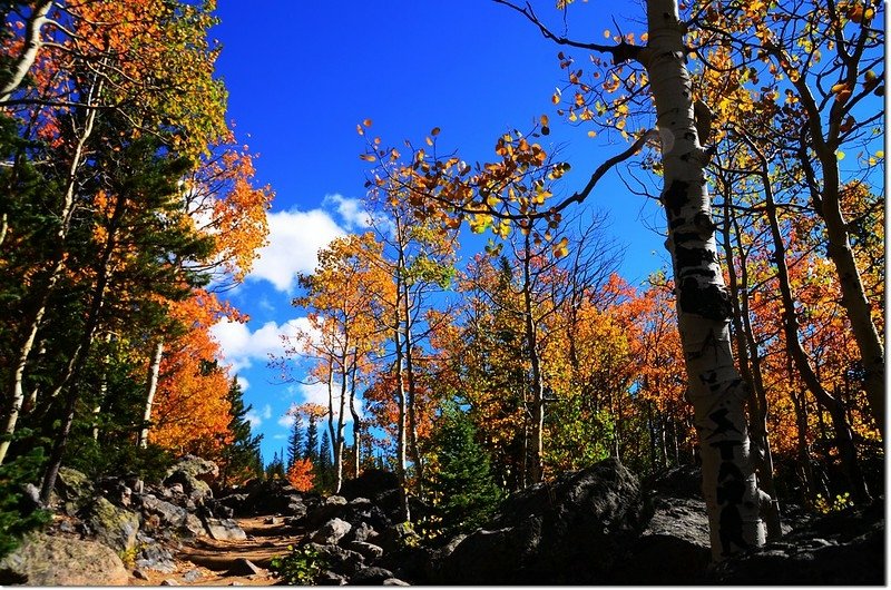 2015 Rockies in Fall, Bear Lake Area (17)