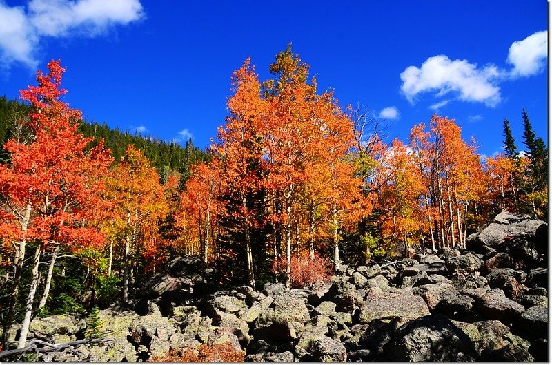 2015 Rockies in Fall, Bear Lake Area (20)