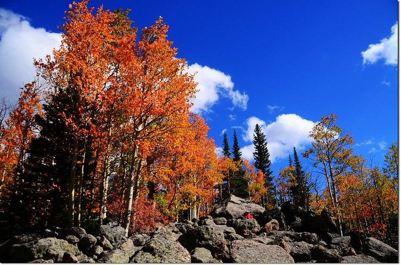 2015 Rockies in Fall, Bear Lake Area (27)