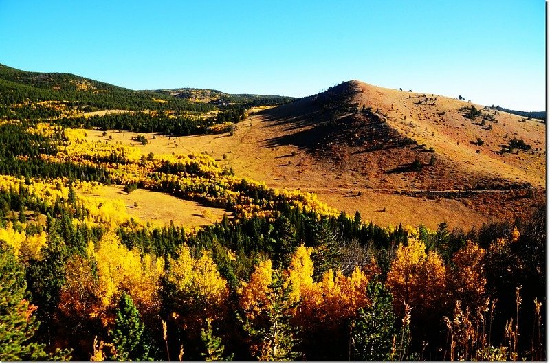 Fall colors by Peak to Peak HWY 3