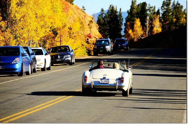 Fall colors by Peak to Peak HWY 7