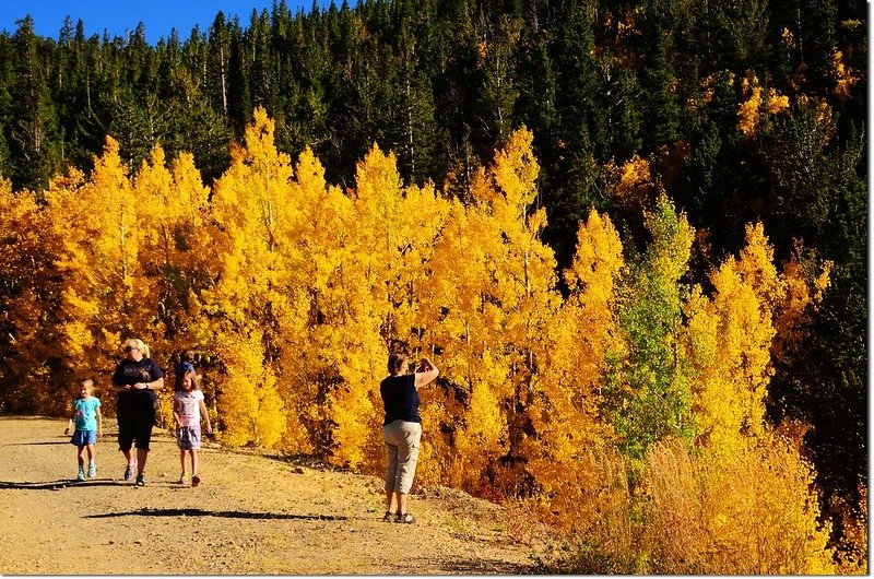 Fall colors by Peak to Peak HWY 5