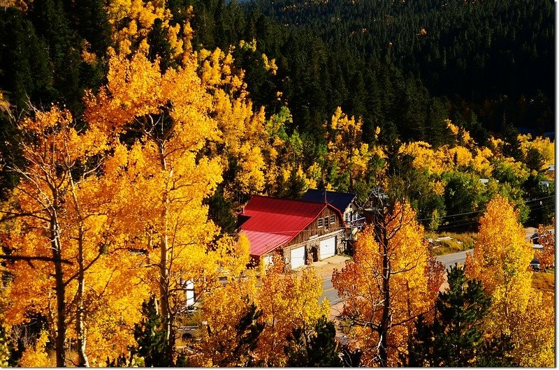 Fall colors by Peak to Peak HWY 4