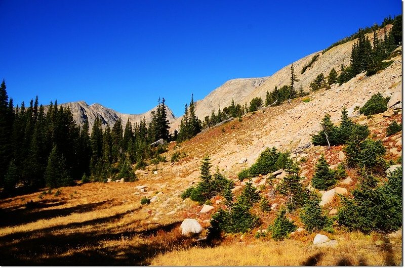 Early morning view of the south face of Mount Audubon