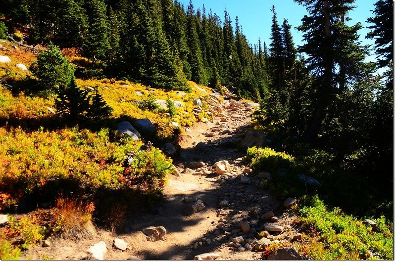 Beaver Creek Trail 2