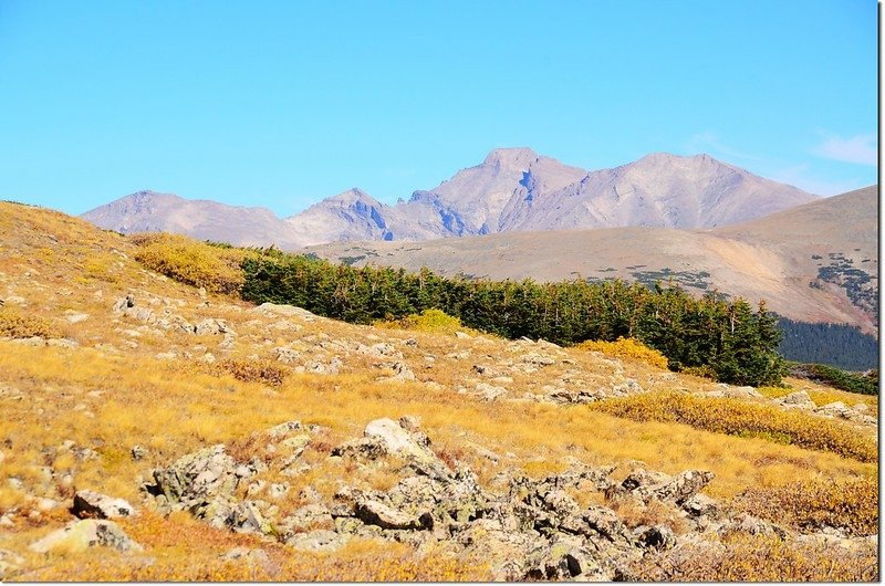 View of Chiefs Head Peak, Pagoda Mt., Longs Peak and Mount Meeker from near the Beaver Creek Trail junction