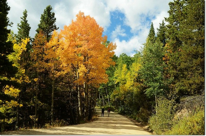 Co Rd 116 in Fall 2