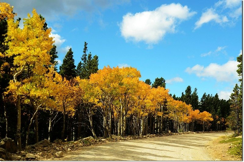 Co Rd 116 in Fall 3