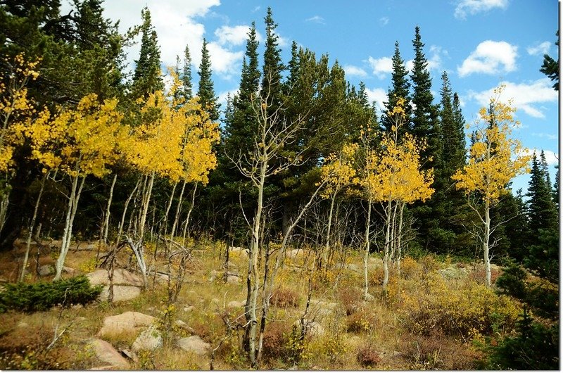 Rainbow Lakes trail 3