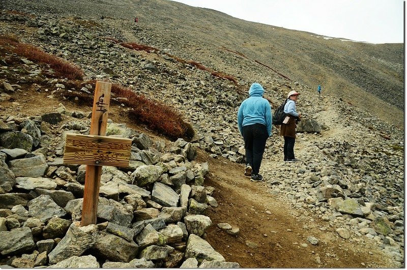 Grays &amp; Torreys Peak trail junction