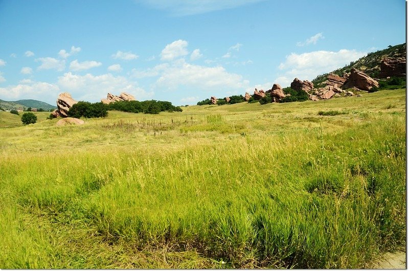 A lot of red rocks in the park