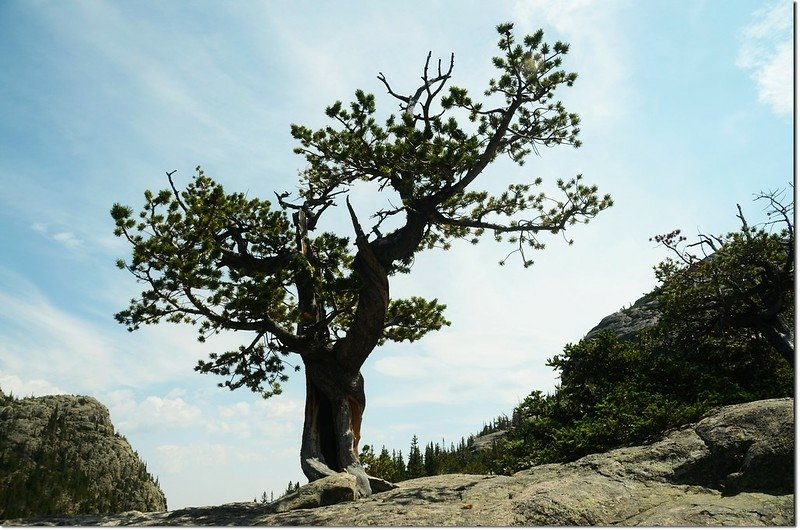 Glacier Gorge Trail 9