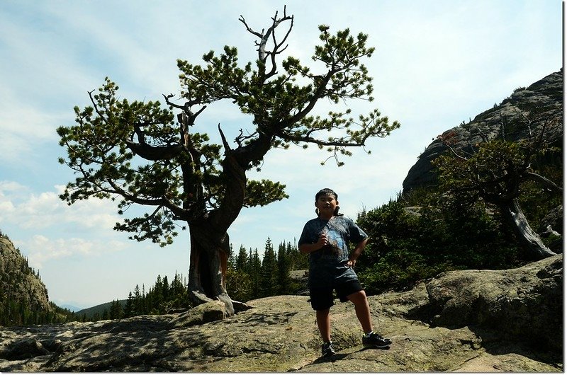 Glacier Gorge Trail 7