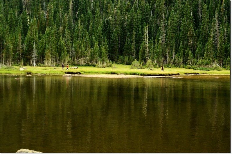 Elk at Jewel Lake 4