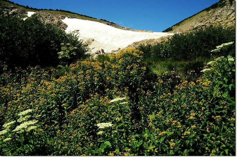 St. Mary&apos;s Glacier (20)