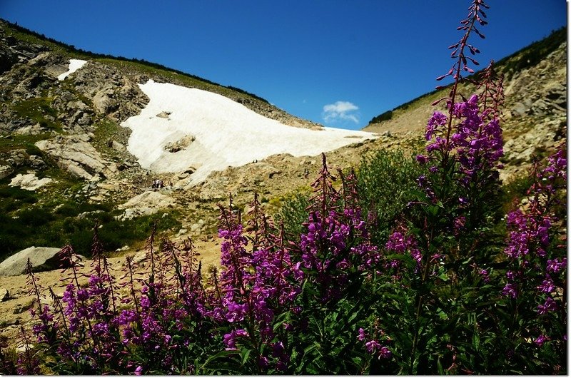 St. Mary&apos;s Glacier (19)