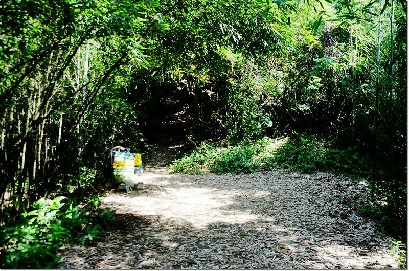 鷂婆山登山步道 1