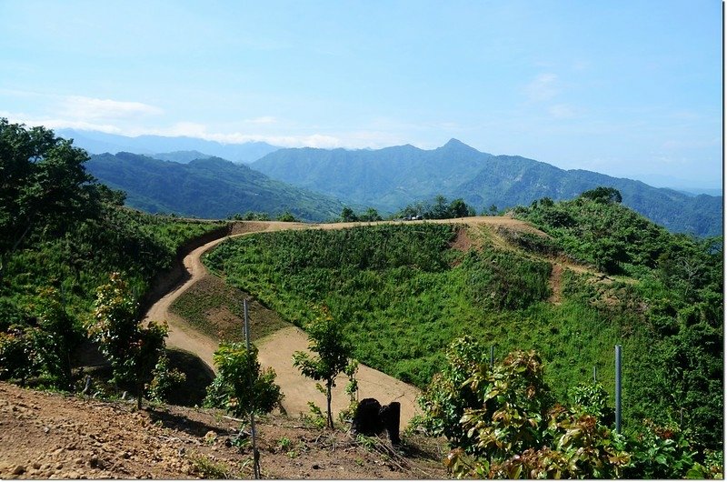 鷂婆山山頂南眺馬那邦山 1