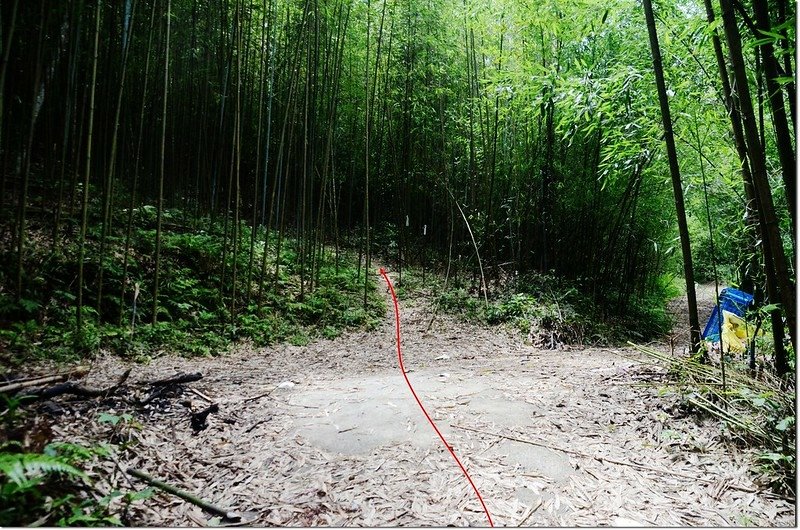 南勢山登山步道 1