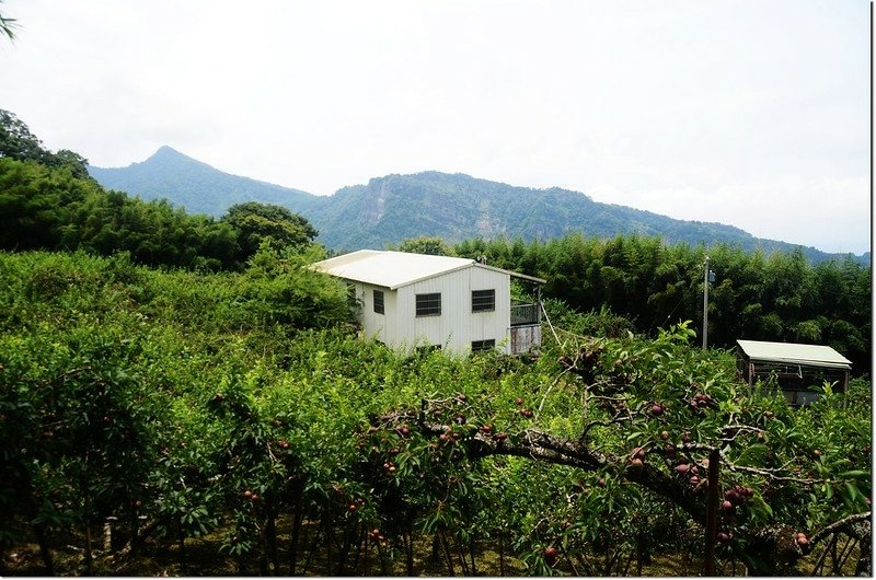 南勢山南眺馬那邦山 2