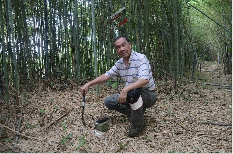 三寮坑山山頂