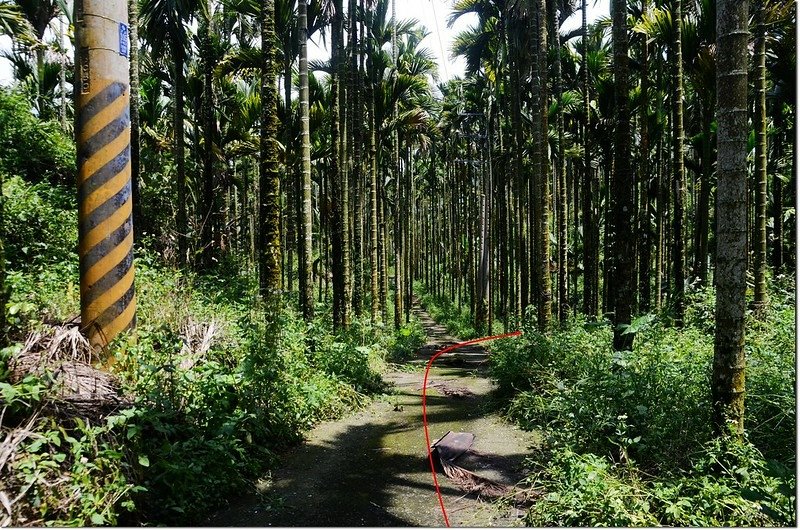 凍仔嶺登山步道