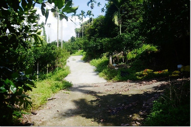 頂宅子登山步道